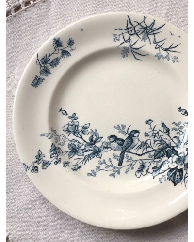 Assiette plates - Longwy - Modèle Mignon B - Décor floral  oiseaux 1870 - 1914