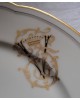 Assiette plate en porcelaine Limoges modèle Mansard filet liseret d'or et liseret noir, monograme SV plus courone
